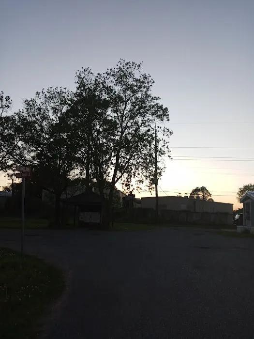 Trailer Park Picture 2