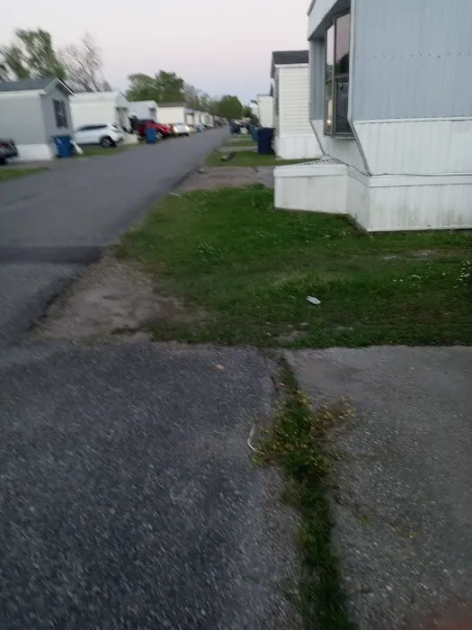Trailer Park Picture 1