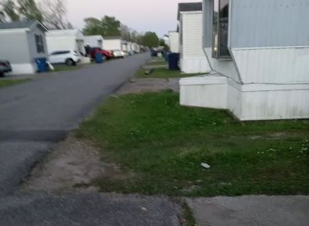 Trailer Park