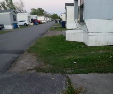 Trailer Park