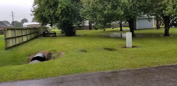Trailer Park Picture 8