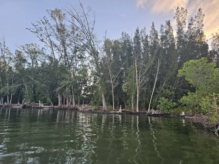 Scout Island Picture 4
