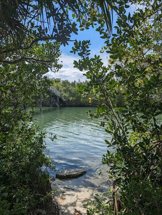 Scout Island Picture 3