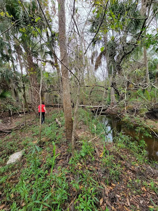 Pellizze Park Picture 4