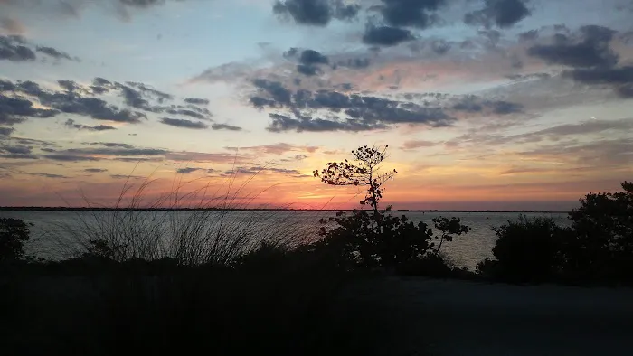 Sebastian Inlet State Park Campground Picture 1