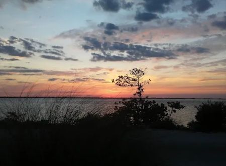 Sebastian Inlet State Park Campground