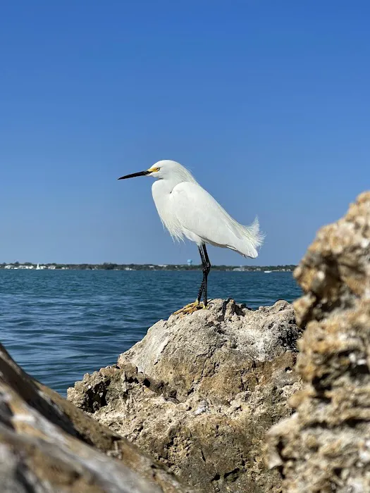 Sebastian Inlet State Park Campground Picture 7