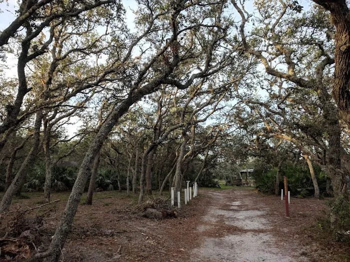 Oklawaha Boy Scout Campground Picture 7