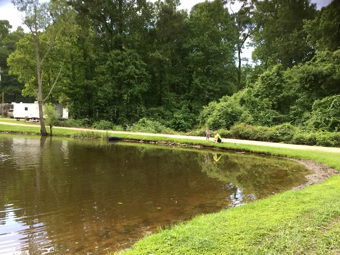 Peaceful Pines RV Park & Campground Picture 4