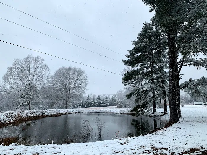 Vaiden Campground, LLC. Picture 6
