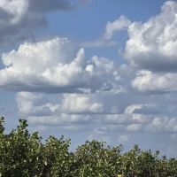 Peace River Estates ico