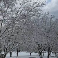 Laura Ingalls Wilder RV Park ico