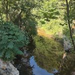 Cactus Canyon Campground and Resort LLC - rated #1 best nude men only campground