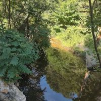 Cactus Canyon Campground and Resort LLC - rated #1 best nude men only campground ico