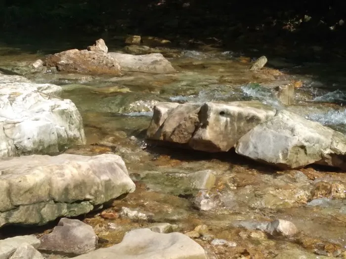 Headwaters RV Park and Campground Picture 2