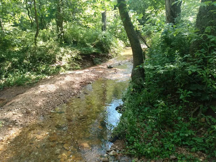 Headwaters RV Park and Campground Picture 8