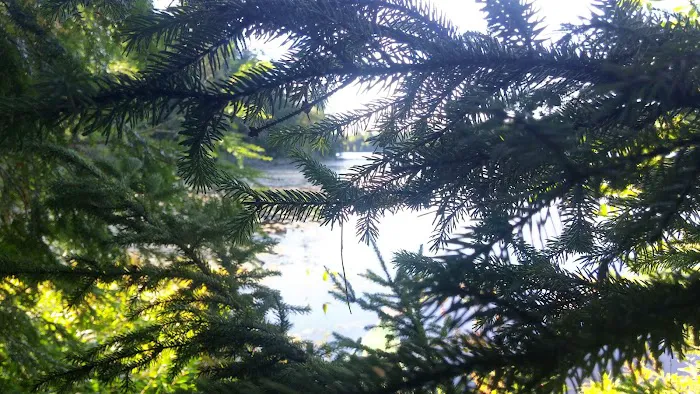Wabasso Lake Campground Picture 6