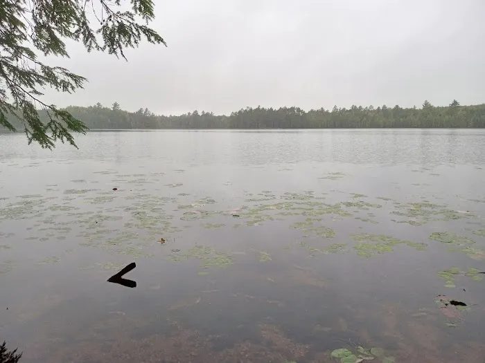 Wabasso Lake Campground Picture 4
