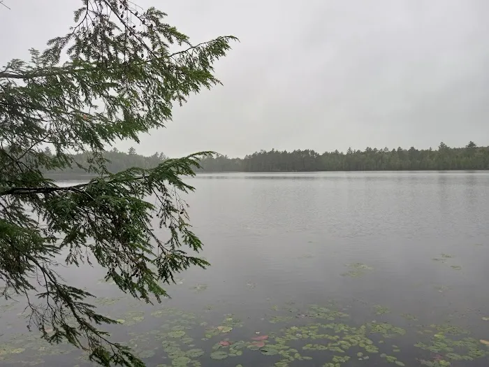 Wabasso Lake Campground Picture 5