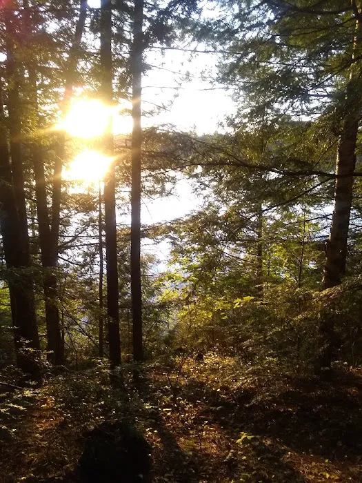 Wabasso Lake Campground Picture 10