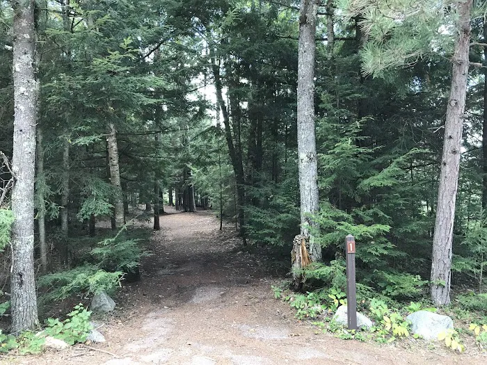 Wabasso Lake Campground Picture 8