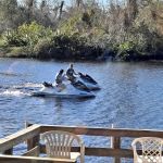 Lettuce Lake Travel Resort