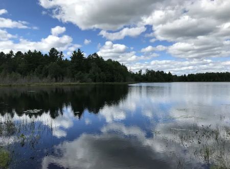 Emily Lake Campground