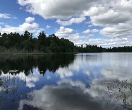 Emily Lake Campground