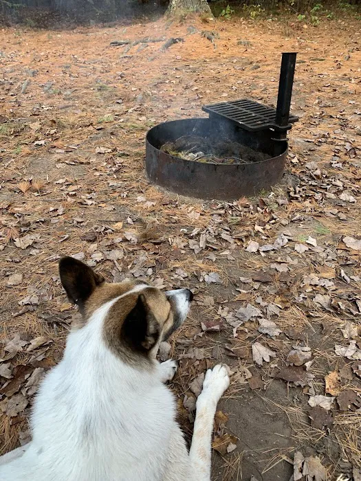 Emily Lake Campground Picture 5