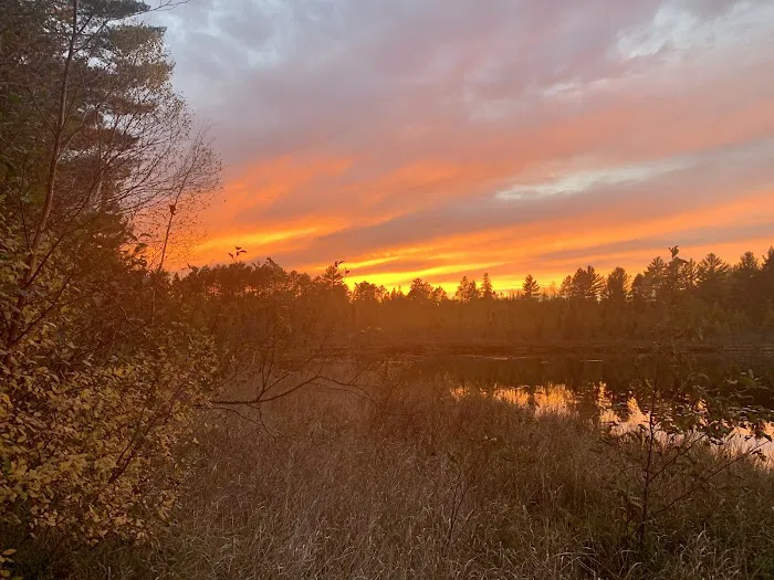 Emily Lake Campground Picture 6