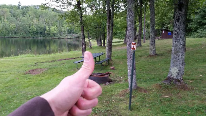 Weber Lake Campground Picture 6