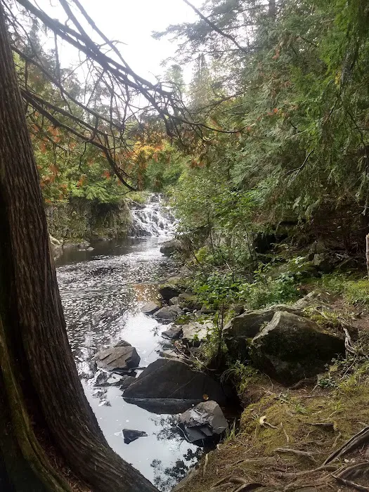Upson Falls campground Picture 4