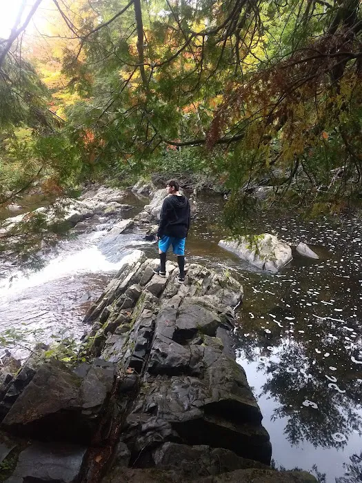 Upson Falls campground Picture 5