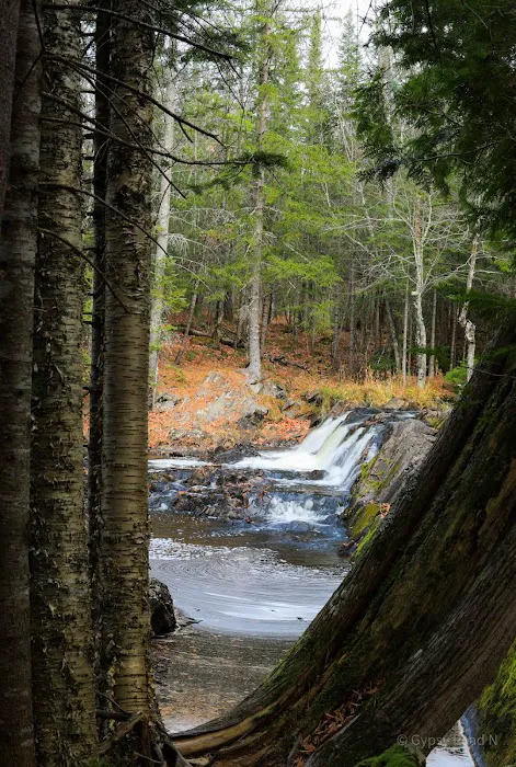 Upson Falls campground Picture 9