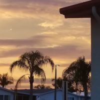 Arcadia Village Country Club ico