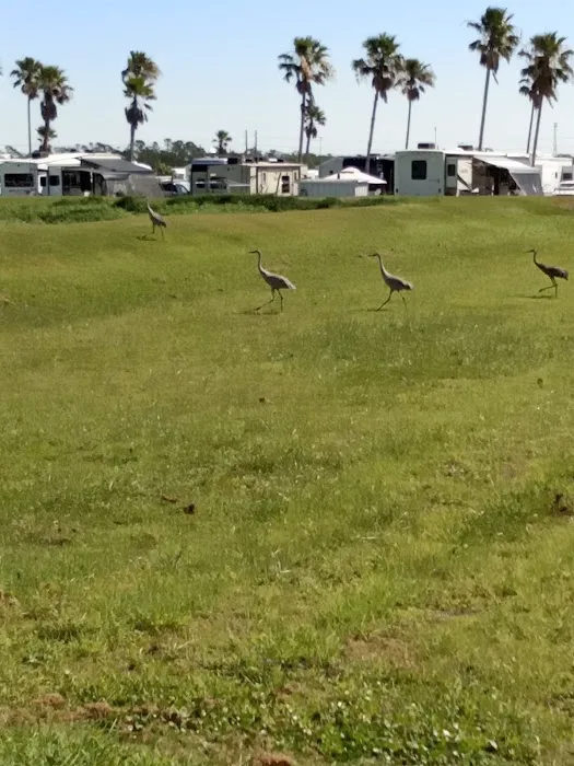 Toby's RV Resort Picture 5
