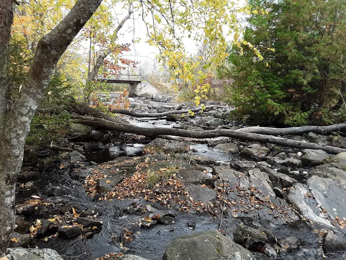 Side 1 Lake of the Falls Campground Picture 4