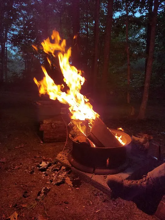Frontier Bar & Campground Picture 2