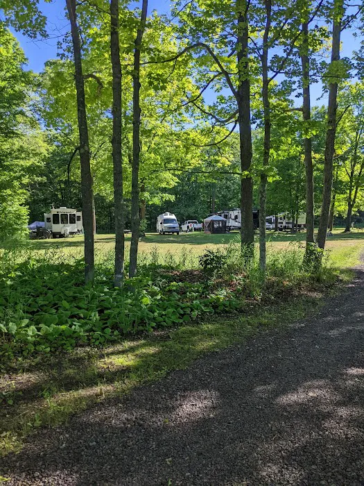 Frontier Bar & Campground Picture 1