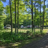 Frontier Bar & Campground ico