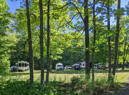 Frontier Bar & Campground