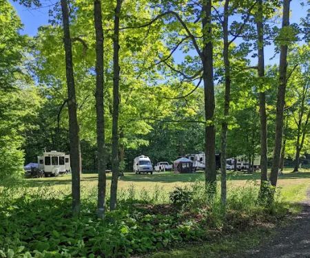 Frontier Bar & Campground