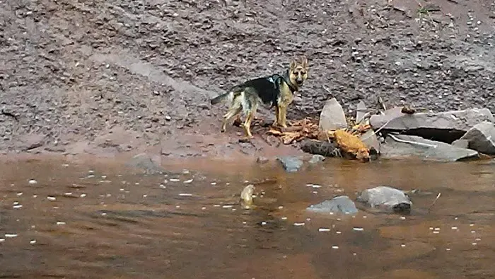 Potato River Falls Campground Picture 9