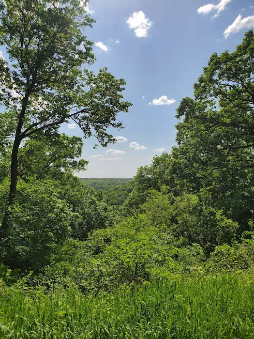 Ledges State Park Campgrounds Picture 1