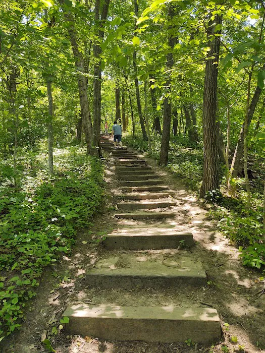 Ledges State Park Campgrounds Picture 6