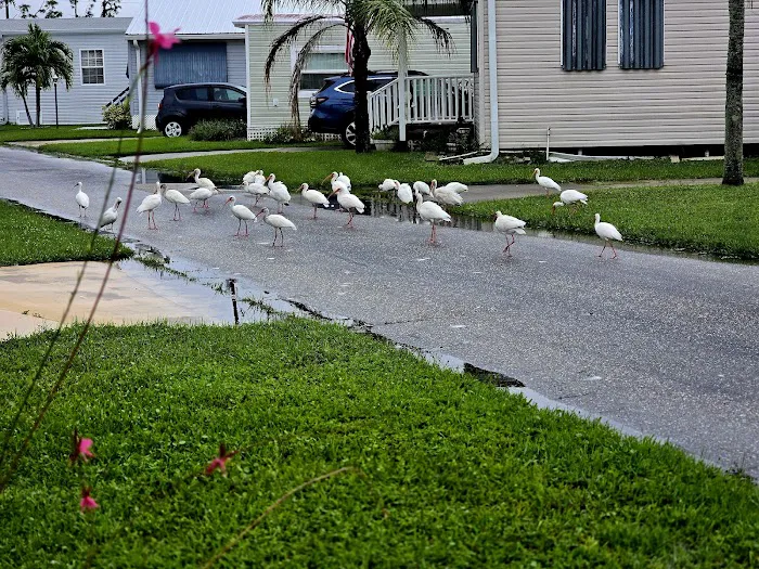 Mariner's Cove Park - Home Owners Association Picture 10