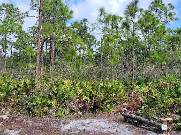Calusa Cove RV Park Picture 6