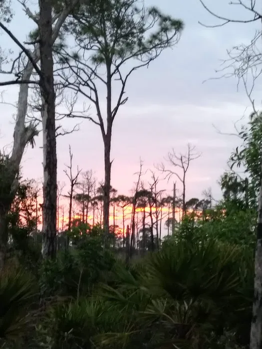 Calusa Cove RV Park Picture 1