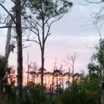 Calusa Cove RV Park