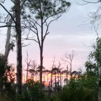 Calusa Cove RV Park ico